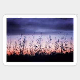 Wild Flowers at Dusk Sticker